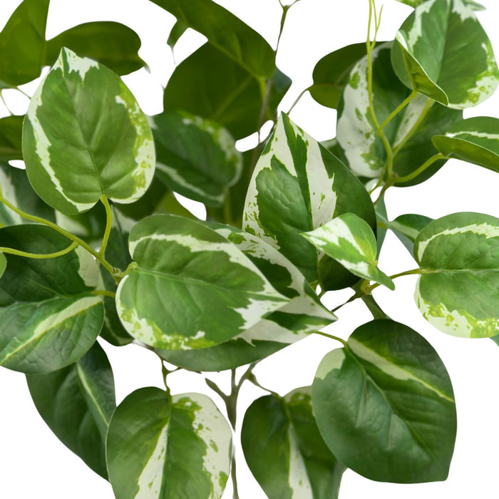 Filler Scindapsus White Green Real Touch Bunch - 45cm. Close up. Available from Plant Couture.