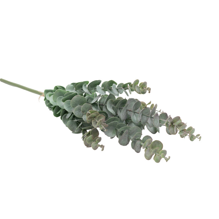 Foliage Pennygum Grey Purple Stem - 65cm