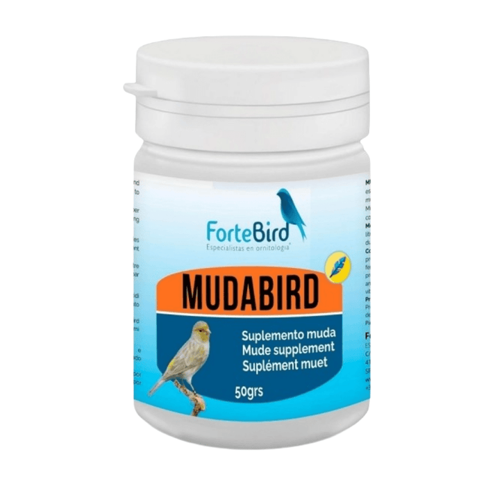 ForteBird MudaBird - New York Bird Supply
