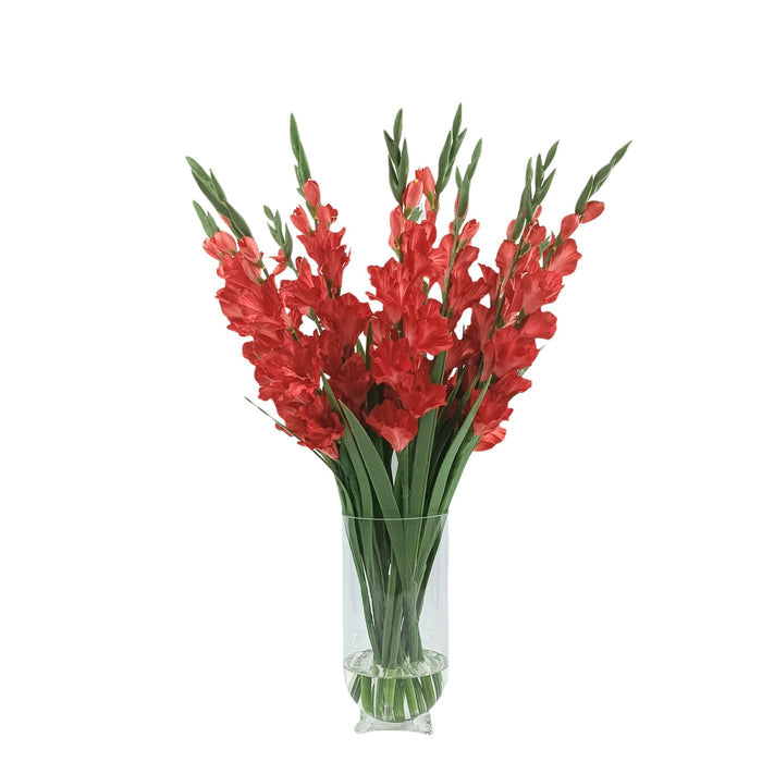 Gladiolus Red Silk Flower Arrangement in Tall Glass Vase. Full front view of flowers.