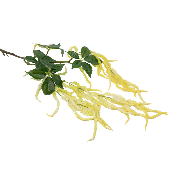 Golden Amaranthus Spray Stem