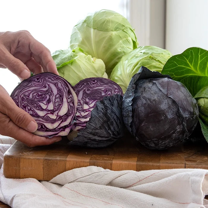Gourmet Cabbage Sampler