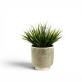 Grass Head in Ceramic Creeping Ivy