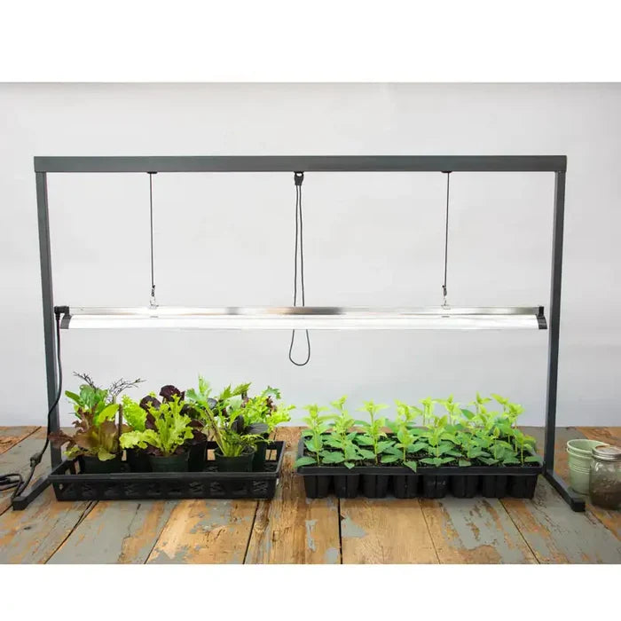 Grow Light