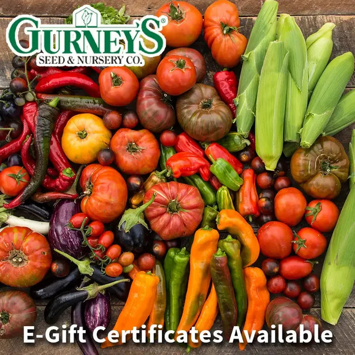Gurney's e-Gift Certificates