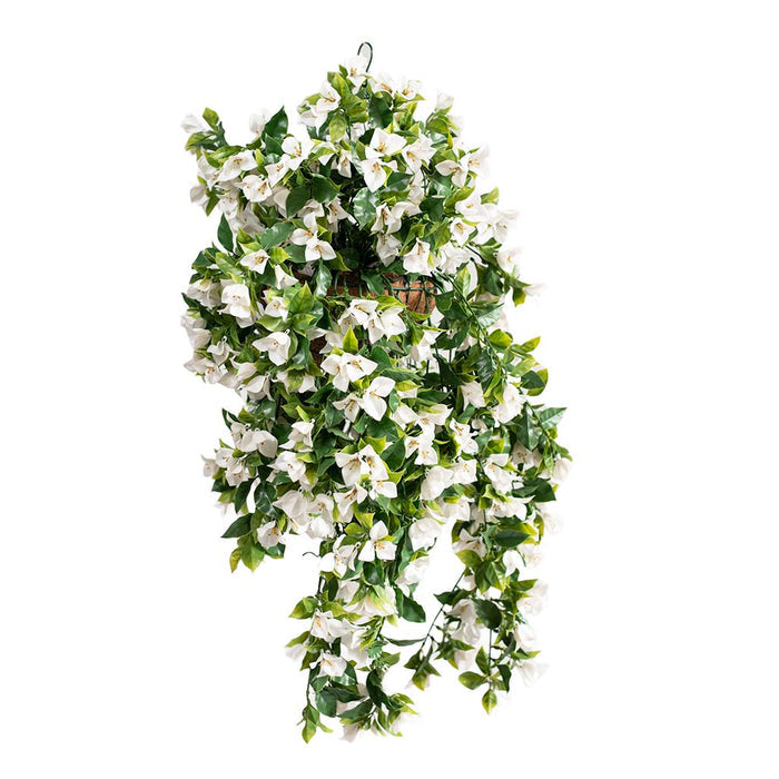 Hanging Basket with Bougainvillea White (M) UV 92cm