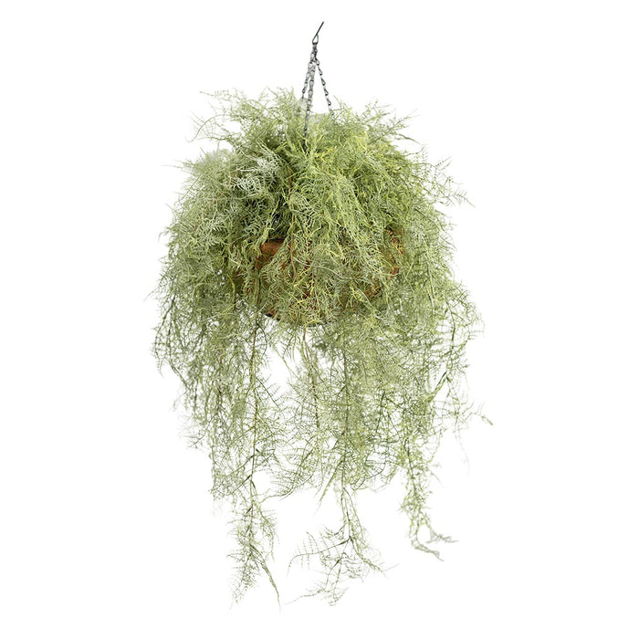 Hanging Basket with Fern Green (L) - 112cm