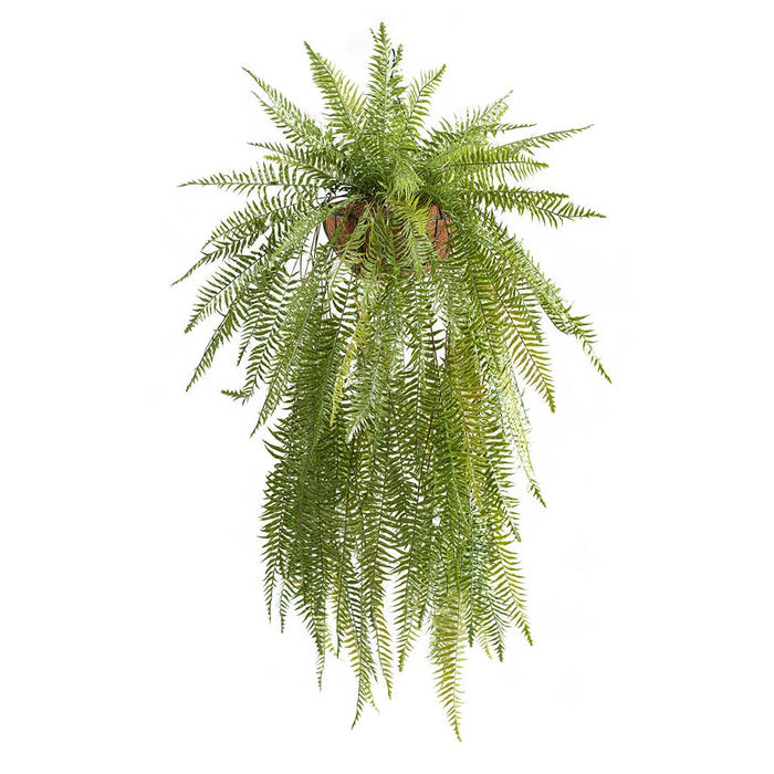 Hanging Basket with Fern (S)