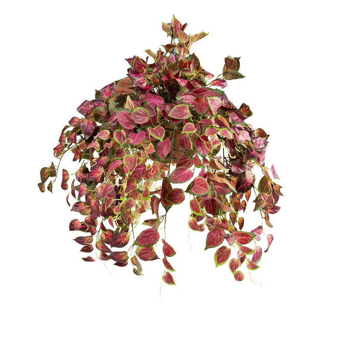 Hanging Basket with Perilla (S) 70cm