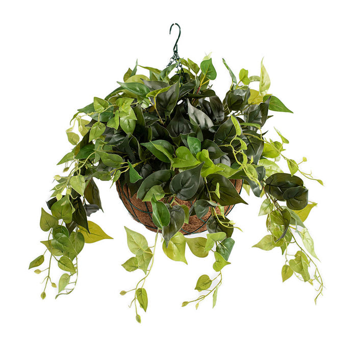 Hanging Basket with Pothos (M) 55cm