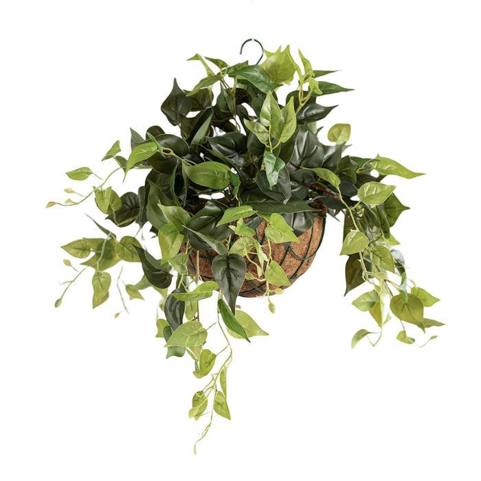 Hanging Basket with Pothos (S) 55cm