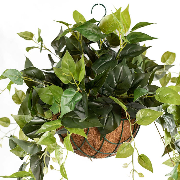 Hanging Basket with Pothos (S) 55cm