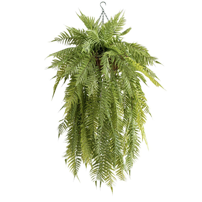 Hanging Basket with Sword Fern (M) 120cm