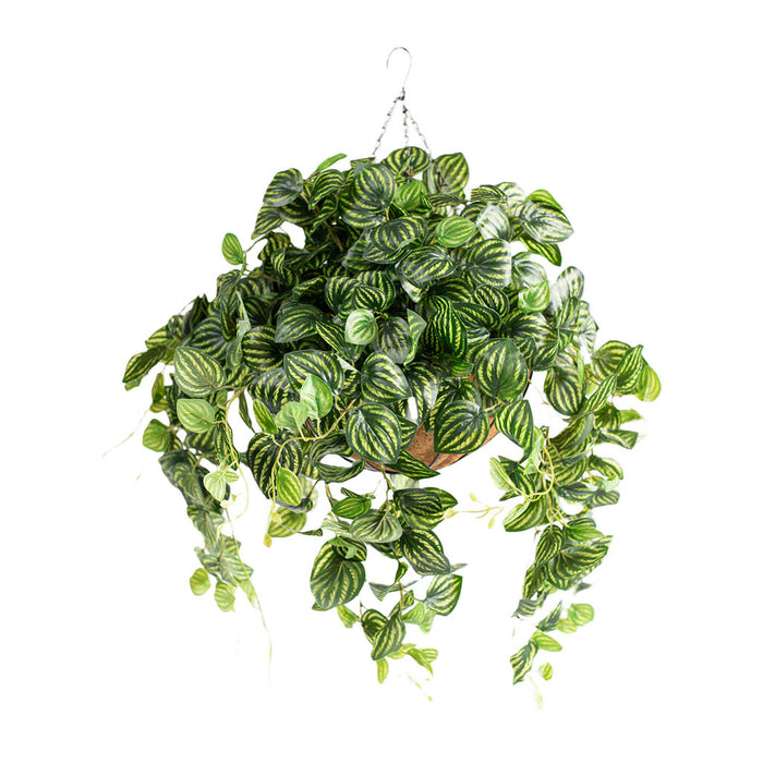 Hanging Basket with Watermelon Leaf Bush (L)