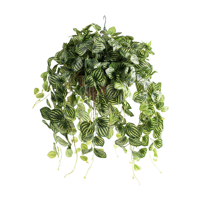 Hanging Basket with Watermelon Leaf Bush (M)