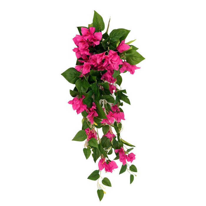 Hanging Bougainvillea Bush x12 Branches. View of length of bougainvillea. Fushia colour. Available from Plant Couture.