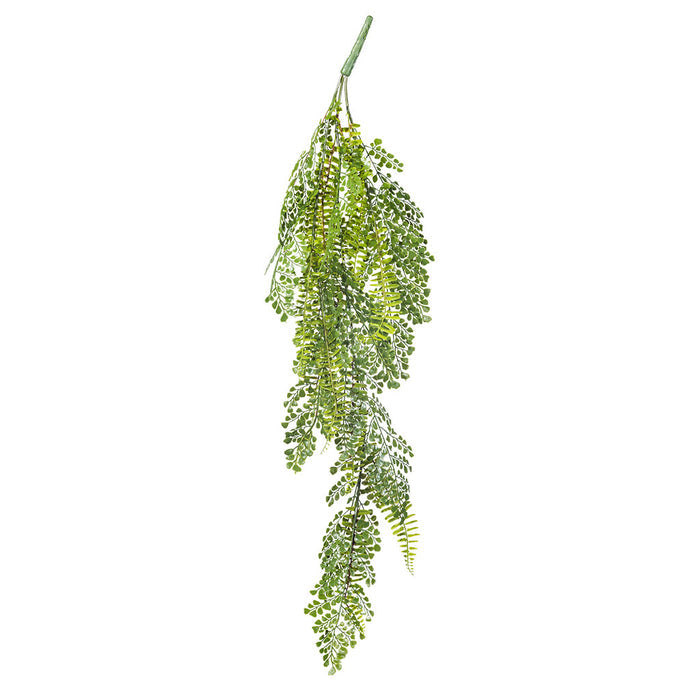 Hanging Fern Mix Stem - 90cm