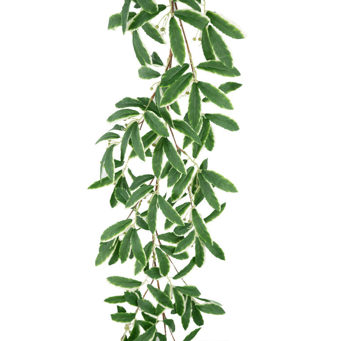 Hanging Leafspray Garland - 170cm