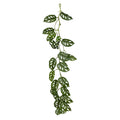 Create a jungle oasis in any space with our Hanging Monkey Monstera Garland Vine! Measuring 120cm, this lifelike artificial plant adds a touch of nature without the hassle of maintenance. www.plantcouture.co.za