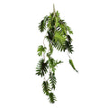Hanging Philo Bush - 90cm