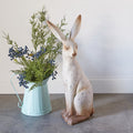 Large Speckled Rabbit