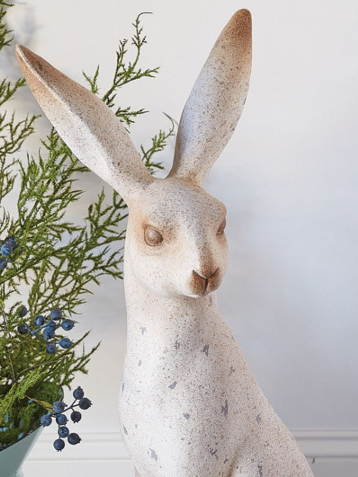 Large Speckled Rabbit