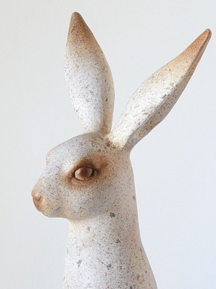 Large Speckled Rabbit