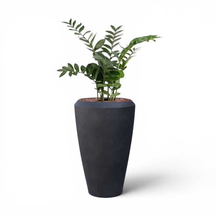 Linford Tall Planter M 44.5x70 With Zamifolia 90cm