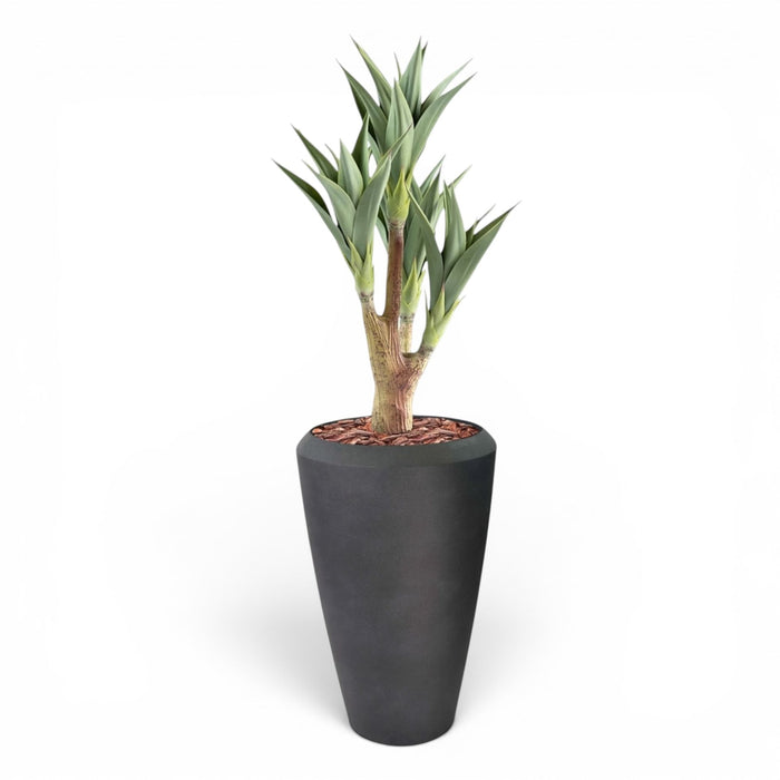 Linford Tall Planter M with Agave 105CM