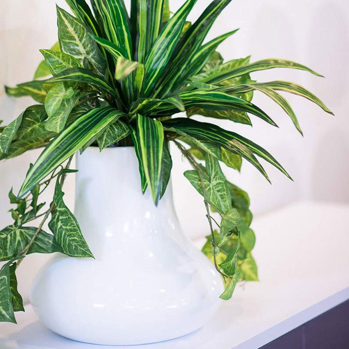 Plant Couture - Pots & Planters - Margiella -  Lifestyle Image