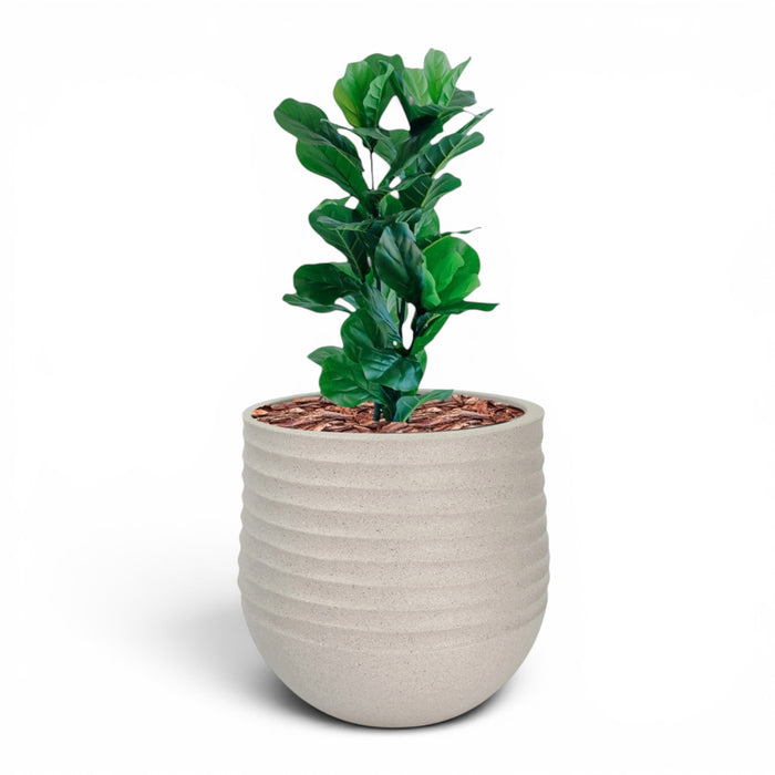 Mariella Round  L 53 x 49 Beige With Fiddle Leaf Ficus 90cm