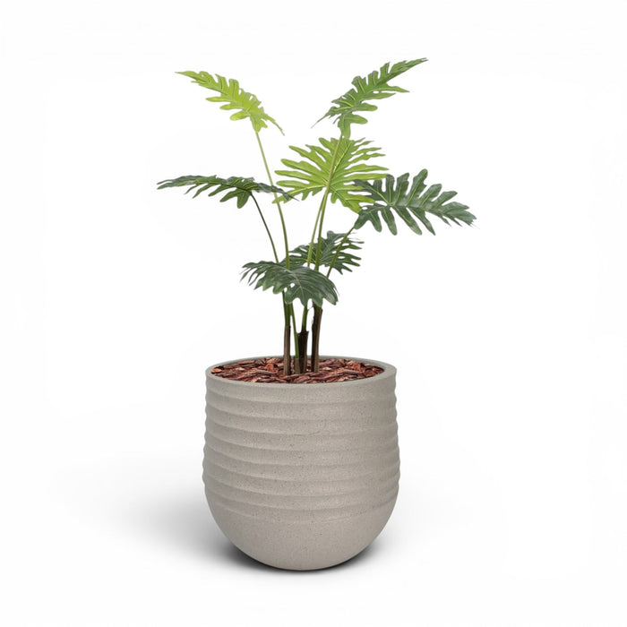 Mariella Round  L 53 x 49 Beige With Philodendron 120cm