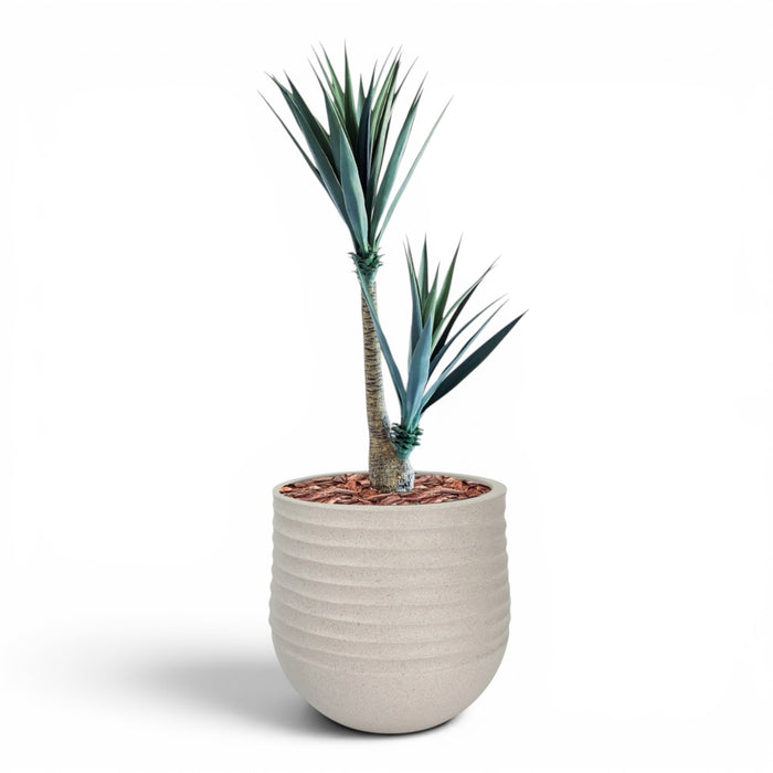 Mariella Round  L 53 x 49 Beige With Yucca 130cm