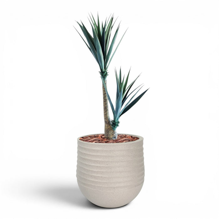 Mariella Round  L 53 x 49 Beige With Yucca 130cm