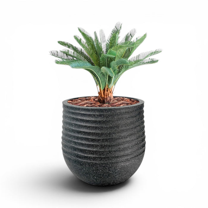 Mariella Round L 53 x 49 Black With Cycas 72cm