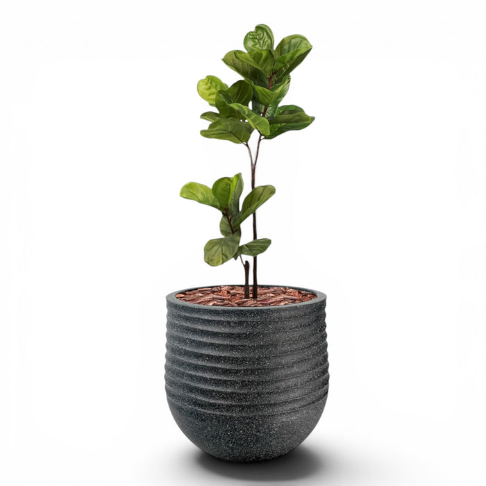 Mariella Round L 53 x 49 Black With Fiddle Leaf Ficus 120cm