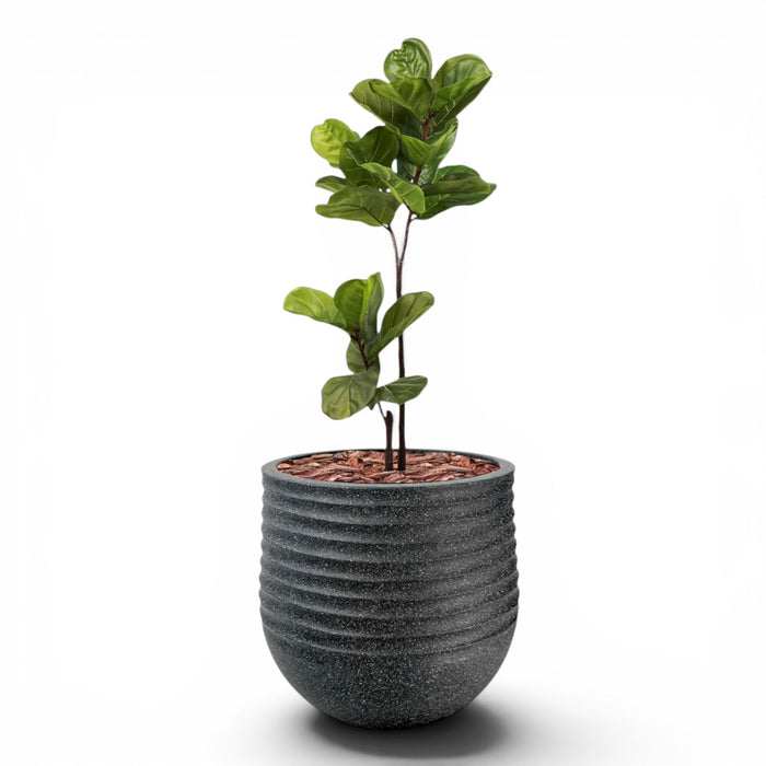 Mariella Round L 53 x 49 Black With Fiddle Leaf Ficus 120cm