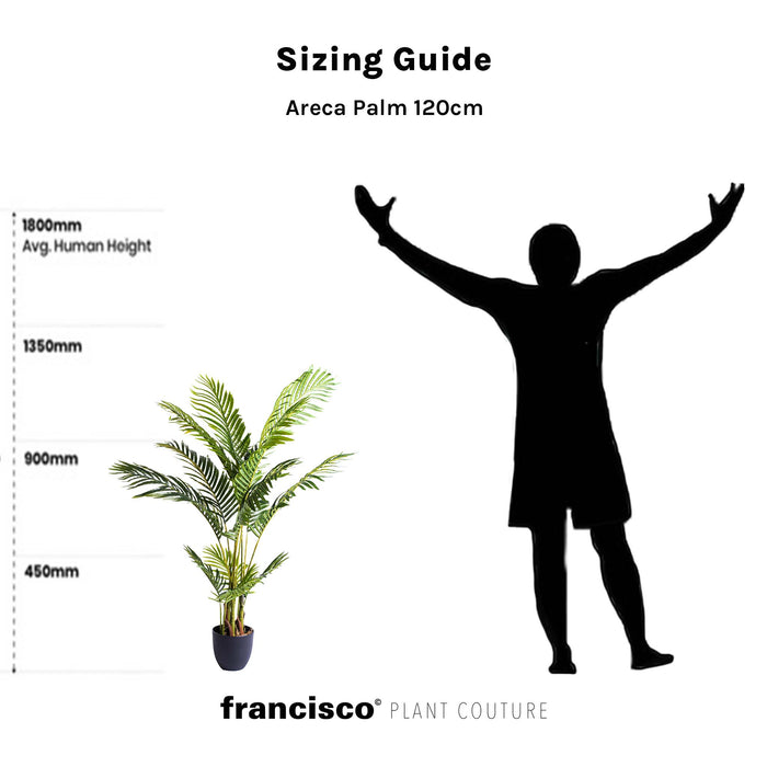 Mariella Round L Black with Areca Palm - 120cm
