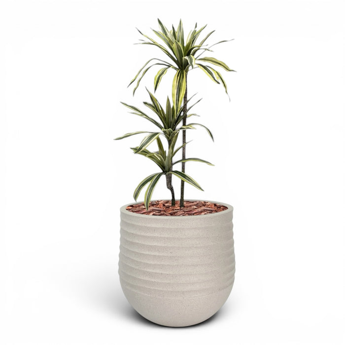 Mariella Round M 40 x 37 Beige With Dracaena 100cm