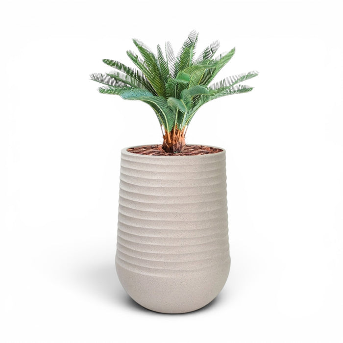 Mariella Round M 40 x 37 Beige With Dracaena 100cm