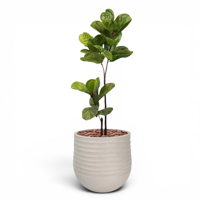 Mariella Round M 40 x 37 Beige With Fiddle Leaf Ficus 120cm