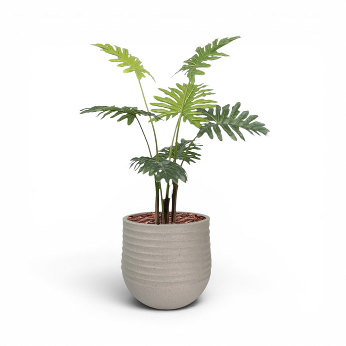 Mariella Round M 40 x 37 Beige With Philodendron 120cm