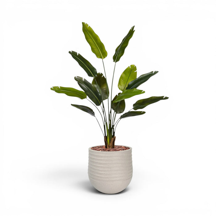 Mariella Round M 40 x 37 Beige With Strelitzia 160cm