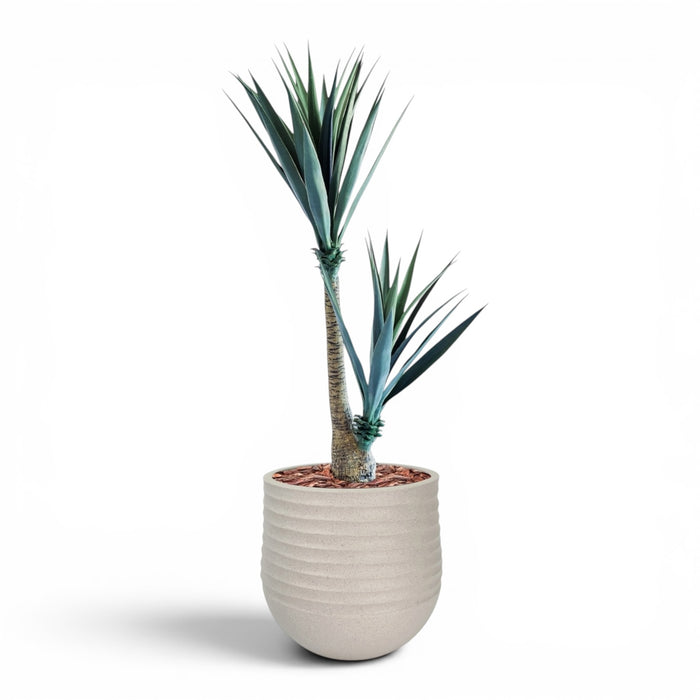 Mariella Round M 40 x 37 Beige With Yucca 130cm