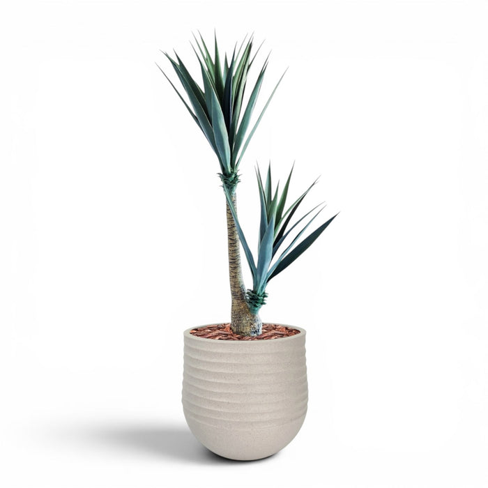 Mariella Round M 40 x 37 Beige With Yucca 130cm