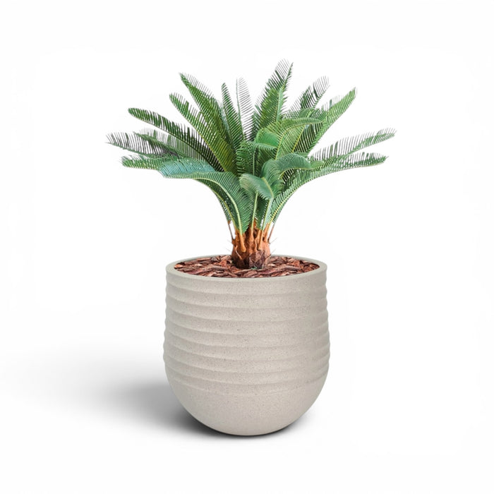 Mariella Round Planter M 40 x 37 Beige With Cycas 72cm