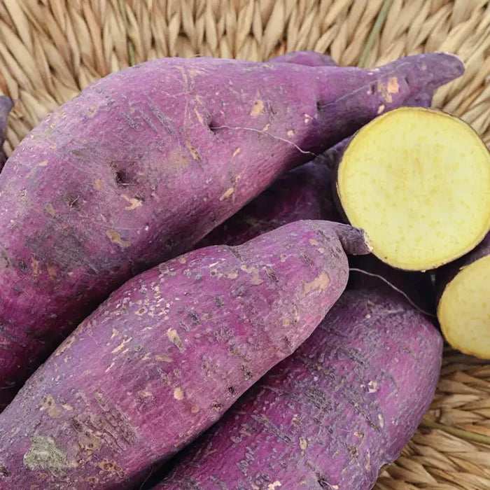 Murasaki Sweet Potato