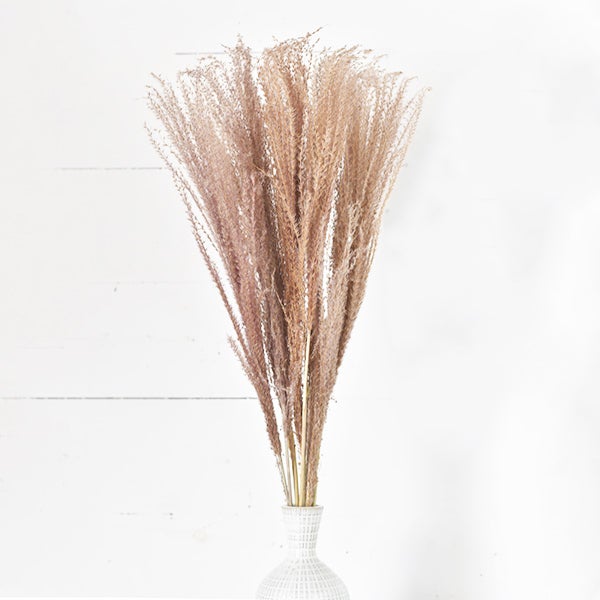 Natural Horsetail