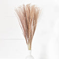 Natural Horsetail