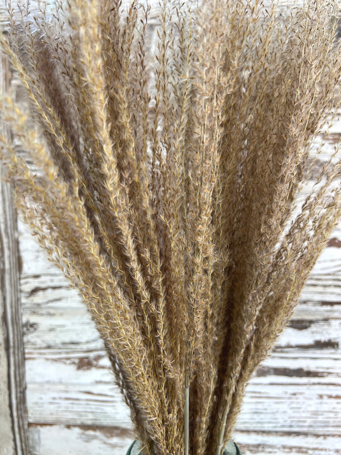 Natural Horsetail